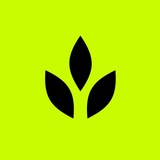 Craftwork — Design Assets