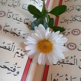 ||هُـــ𓂆ــدُوء.
