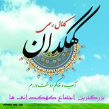 کانال رسمی کهکدان