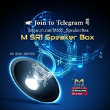 Speaker Box M SRI