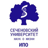 Институт профессионального образования