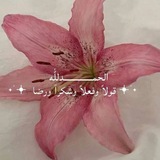 عالم تُومي 🧘🏻♀️ .