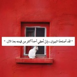 سَـمْراء||semra