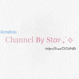 Channel 𝐁𝗒 𝐒𝗍α𝗋‧₊˚✧