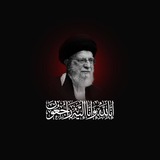 الحشد الالكتروني