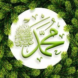 خلفيات دينيه والسيرة النبويه