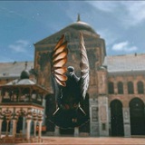 فرقد |•° 🪐