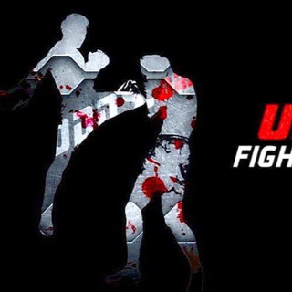Mixed martial arts ( MMA )
