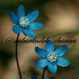 🌼جملات ناب انگلیسی با ترجمه🌼