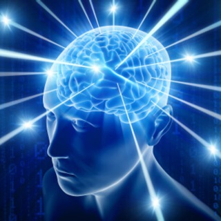 Brain Power By Tauseef Sir