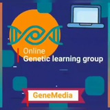 Gene Media (INNOVA Academy)