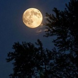 ضــوﯠء الــقـمـــر