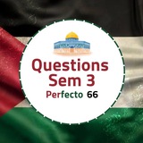 Questions Sem 3 - Perfecto 66