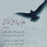 * تُربَی حَسَنو *