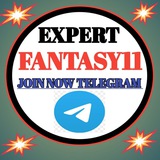 Expert fantasy11