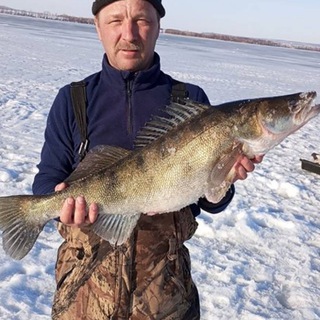 Хайзенберг