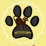 🐾 vetotomy 🐾