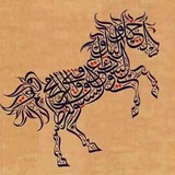 معلومات عامة ͢ 💛 ۦ