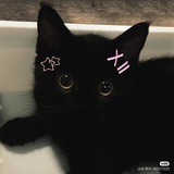 𝐓𝐡𝐞𝐦𝐞/ 𝐚𝐥𝐢𝐠𝐡𝐭 𝐦𝐨𝐭𝐢𝐨𝐧