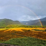 Энциклопедия Сванети