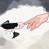 بحـر ونَجمـة