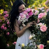 🥀 О розах с любовью...