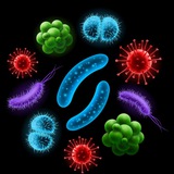 Medical Microbiology