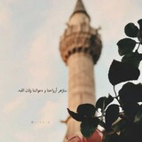 وعـي 🤍