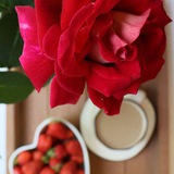 أمــــل ¦ 🌹 🍓
