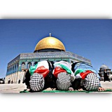 فيديوهات/صورة/-فلسطينية 🇵🇸