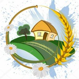 Ждановичи 🏡 🏘