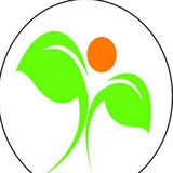Master Mind Global School & Jr. College