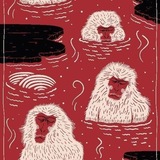 Monkeys & rich