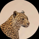 هنـد الدوسري|لمحة🐆