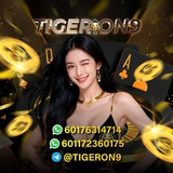🐯 《TigerOn9》 🐯 Offical Channel