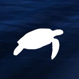 Plastic Free Onlus