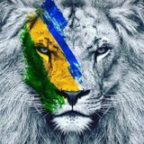SELVA & AÇO