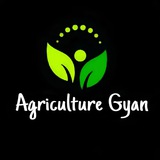 Agriculture Gyan️ ™