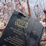 روايةٌ •°