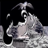 سعود الدهمشي
