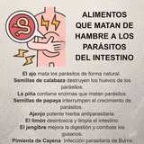 💕 Desparasitación, Trementina, Tierra de Diatomea, Zeolita 💕</b