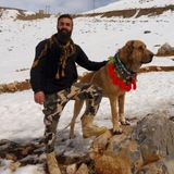 Shomal_Dogfight