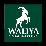 WALIYA PRODUCTION