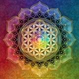 Zeichen der Liebe π β¨