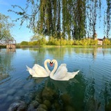أرّيچ 🦢 🪸