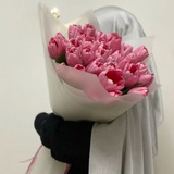 Najiyya kanaliga kirish