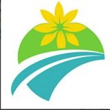 Tsedey Bank S.C