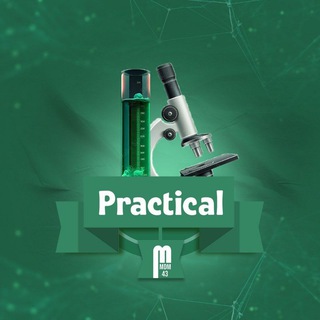 MDM43 | Practical
