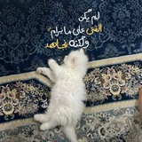 مسافرٌ أنتَ || و الآثارُ باقيةٌ