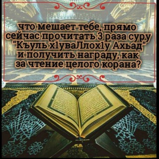 Slushay Koran Красивое чтение Корана